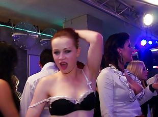 Babes dancing around sucking stranger's cocks at nightclubs
