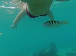 Snorkeling in reef