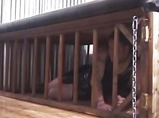 Hot dominatrix duo paddles their male captive&#039;s ass over table 