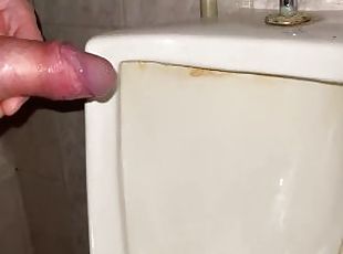 Pissing my beautiful cock with big balls in a public office toilet